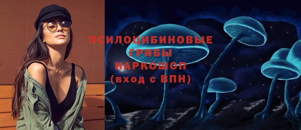 дживик Бугульма